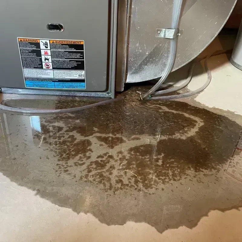 Appliance Leak Cleanup in Springfield, MO